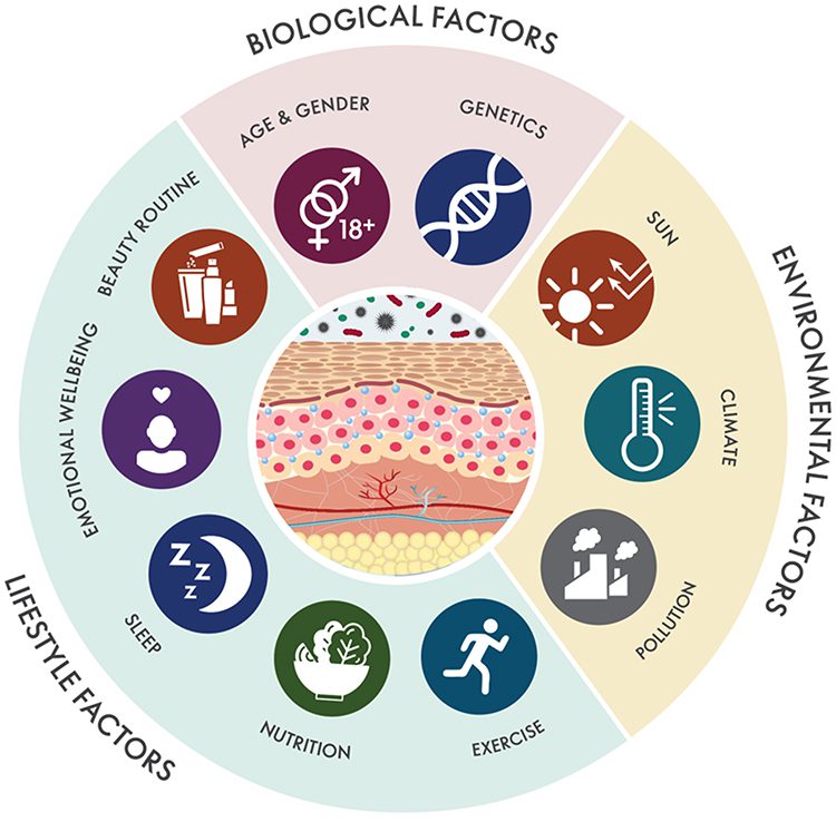 10-factors-that-affect-skin-aging-livara-natural-organics