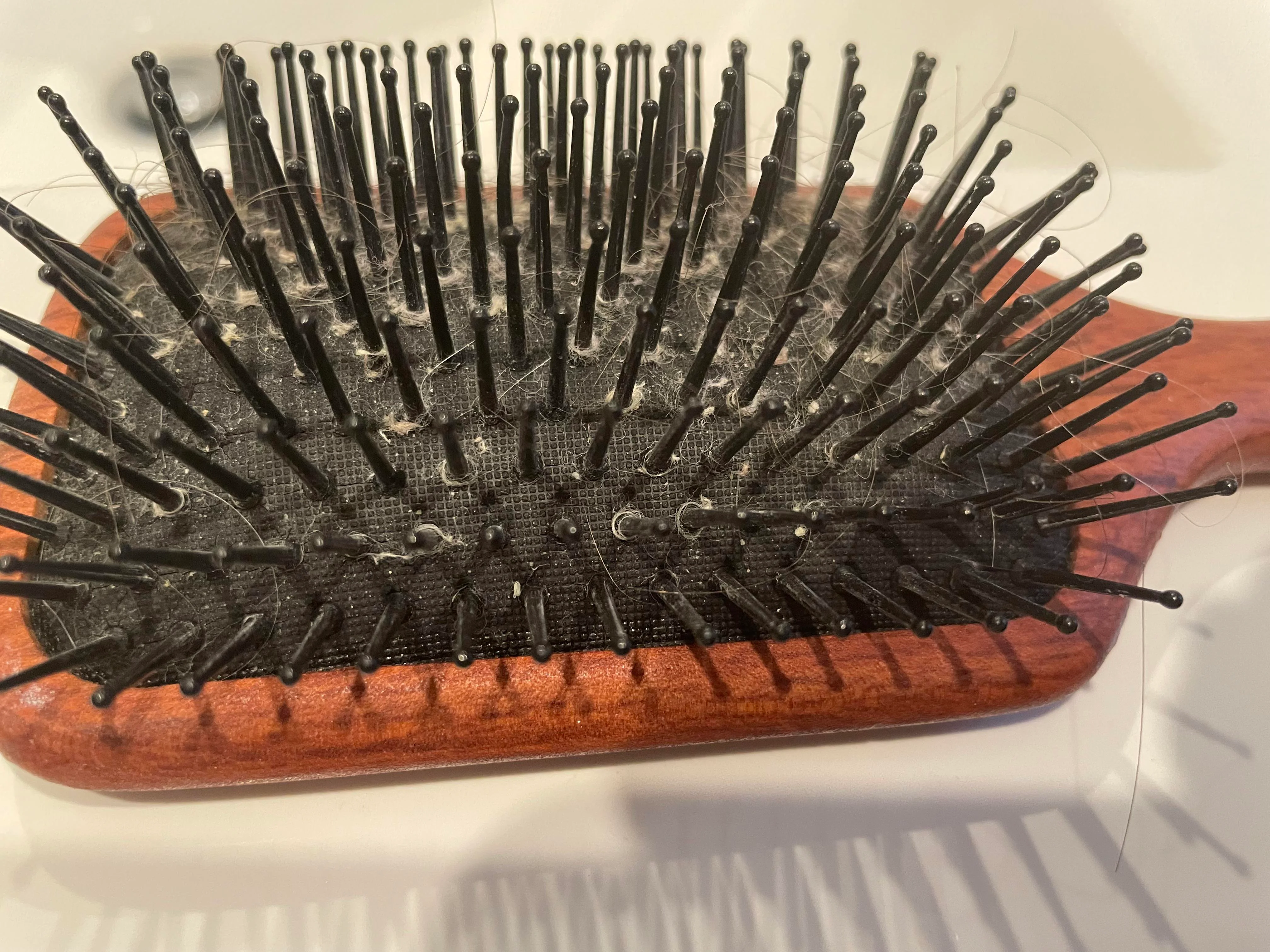 https://mylivara.com/wp-content/uploads/2023/04/cleaning-dirty-hairbrushes-v0-rapbhfm6rlg81-1.webp