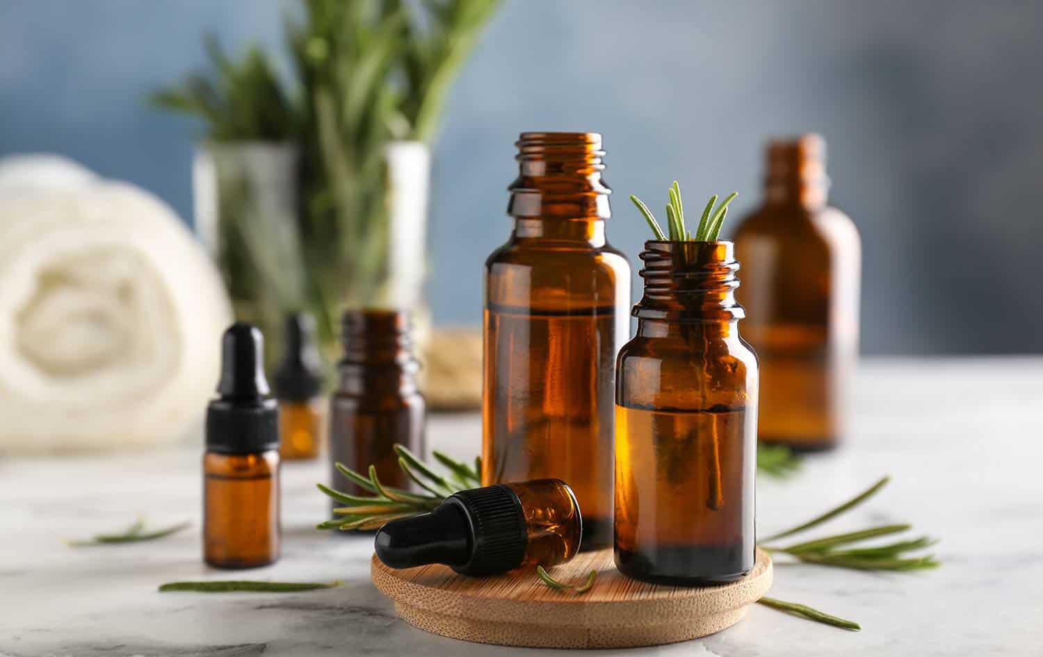 Moisturizing Oils vs Sealing Oils: What's the Difference? - Livara Natural  Organics